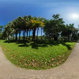 Daytime sunny road 16k