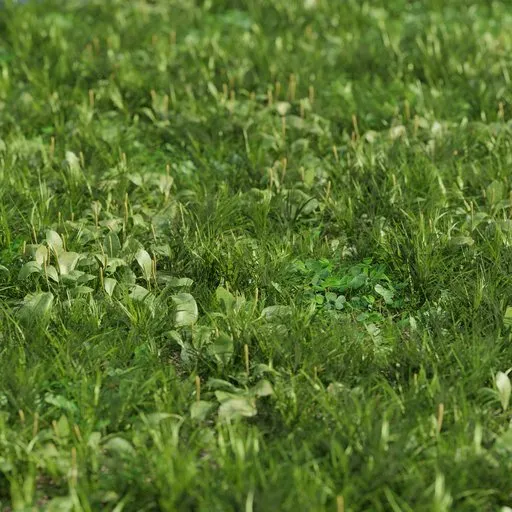 Realistic 3D grass model with plantain and clover textures, designed for Blender renderings.