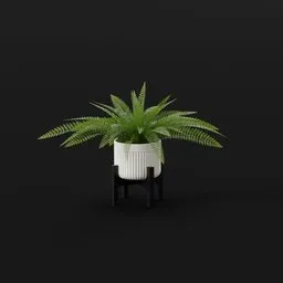 Tropical Fern Lrg Planter