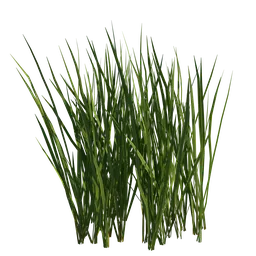 Realistic Blender 3D model of green grass patch, detailed wild meadow foliage for nature scenes.