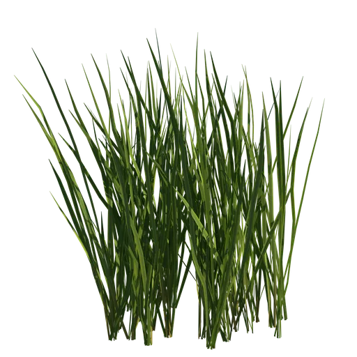 Realistic Blender 3D model of green grass patch, detailed wild meadow foliage for nature scenes.