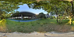 Meadow, Woods, Sunset