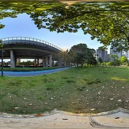 Meadow, Woods, Sunset