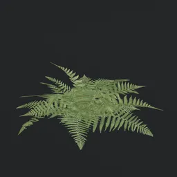 Detailed 3D fern model with realistic textures compatible with Blender for game development.