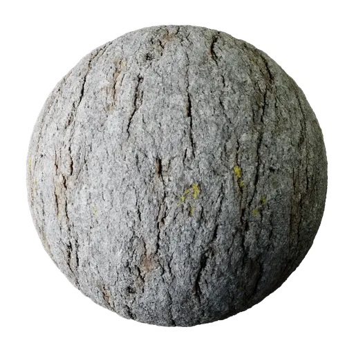 High-resolution realistic tree bark texture for 3D rendering with Blender and PBR compatible apps.
