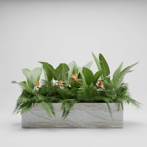 Bird of Paradise Tropical Planter