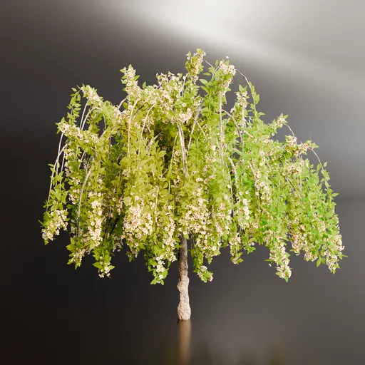 "3D rendered dappled willow model with arching branches and delicate leaves, suitable for Blender visualizations."