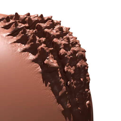 Crocodile Back Skin