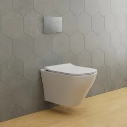 Wall hung toilet