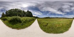 City Green Park Sunny Day