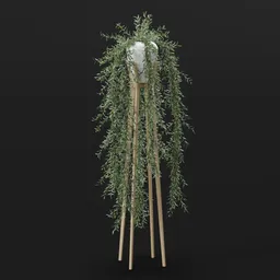 Hanging Willow Plant