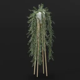 Hanging Willow Plant