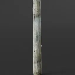 Old Wooden Post 01