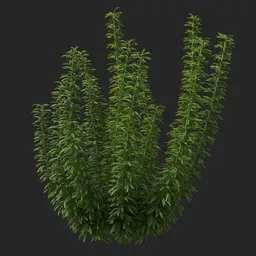 Simple Bush