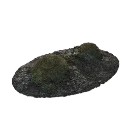 Mossy Rock