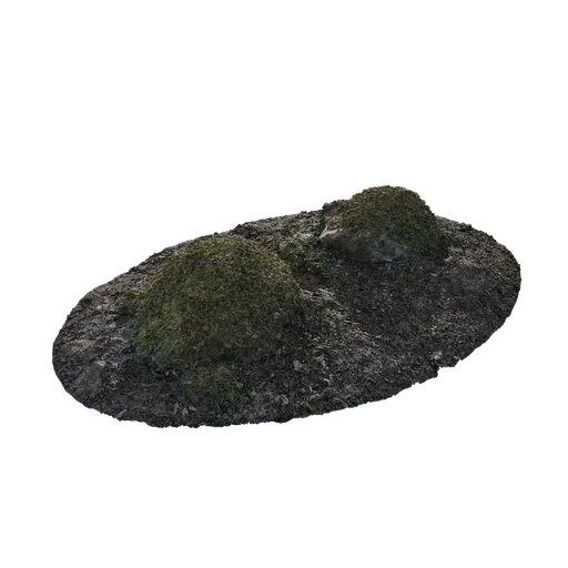 Mossy Rock