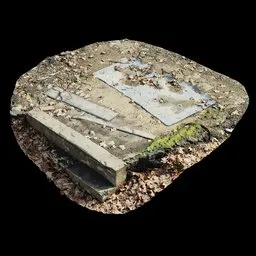 Scan Fallen Leaf Steps