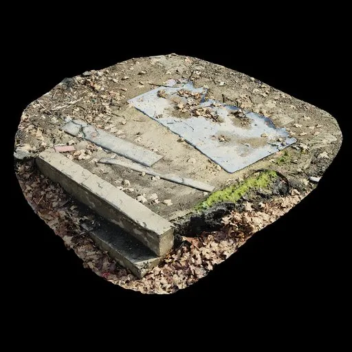 Scan Fallen Leaf Steps