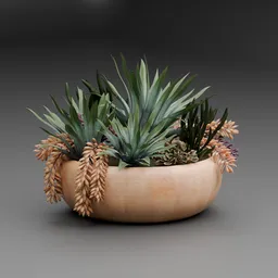 Succulent Bowl Planter
