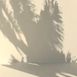 Detailed palm tree shadow texture for 3D motion design, ideal for Blender, enhancing lighting effects.