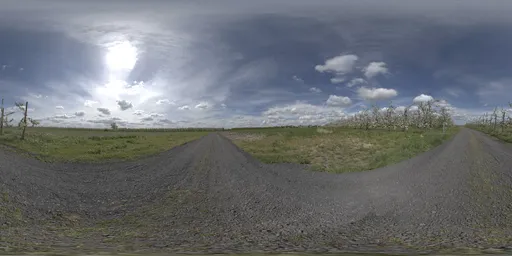 Rural Road Sky