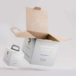 Rigged Carry Handle Folding Box