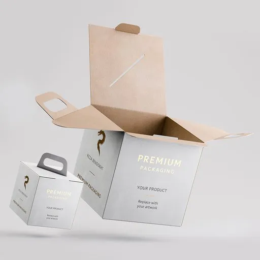 Rigged Carry Handle Folding Box