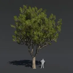 "Highly detailed Tree Black Board A1 3D model with PBR textures and materials, perfect for cinematic use in Blender 3D. Featuring realistic and intricate elements in various sizes, suitable for use in the metaverse or ingame images. Future Miramar approved and available in the 3D marketplace."