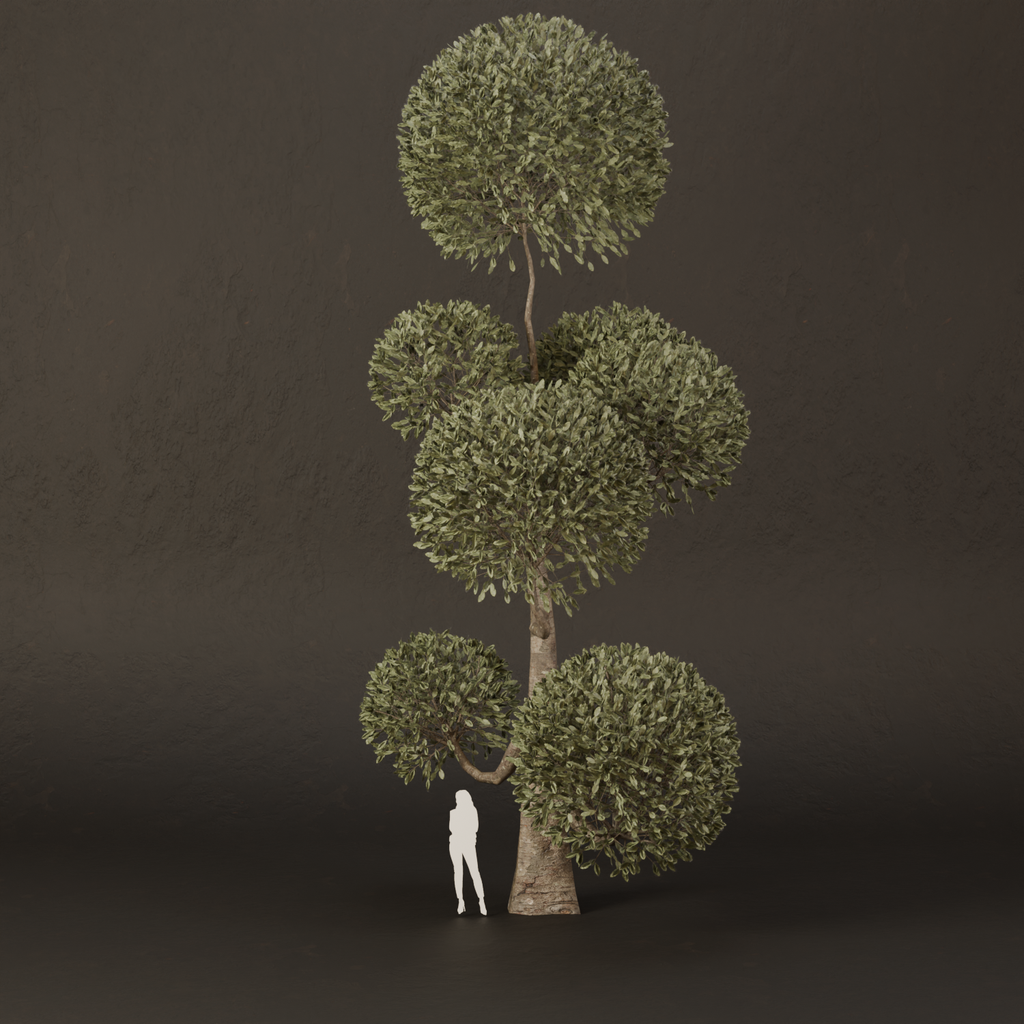 BlenderKit | Download the SJ-Ornamental Tree Tower Still model