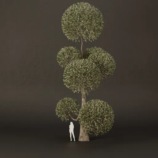 SJ-Ornamental Tree Tower Still