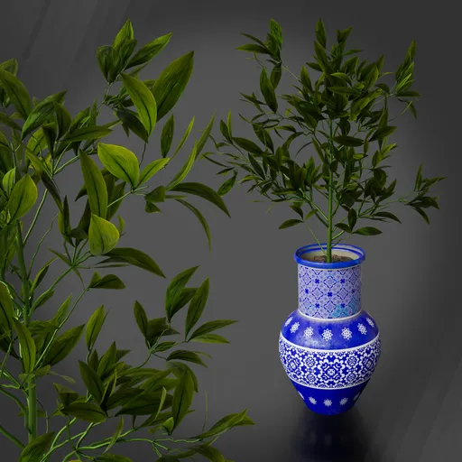 Decorative Vase
