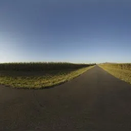 Mealie Road