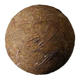 Wet Forest Ground Water