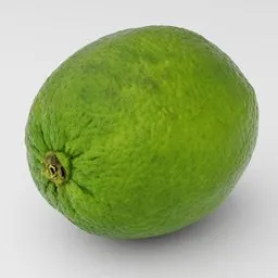 Lime agrume green fruit realistic scan
