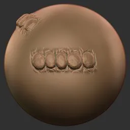 Dragon Skin Tight Wrinkle Clusters