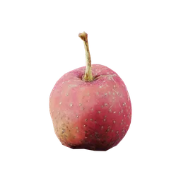 Crataegus pinnatifida