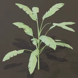 Heliconia Lobster Claw Plant Small