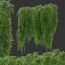 Simple Wall Hanging Plant