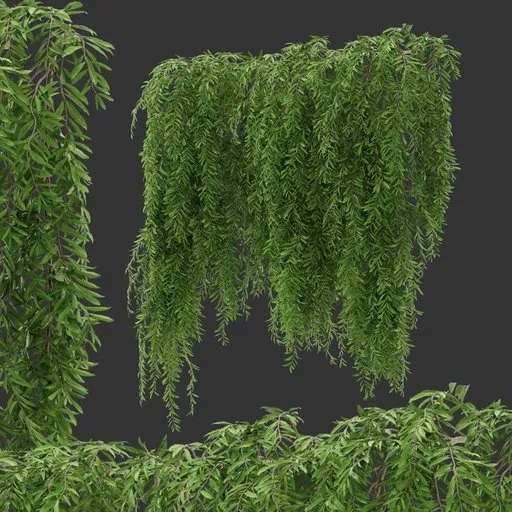 Simple Wall Hanging Plant
