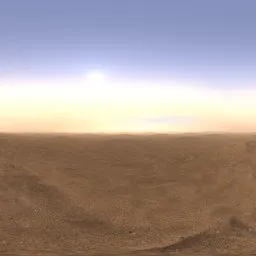 Foggy desert