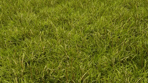 Animated Grass