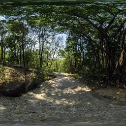 Stone brick trail during the day