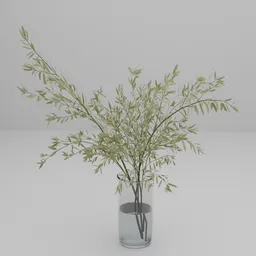 Olive Branch in Glass Vase