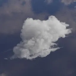 Puffy Cumulus Cloud VDB