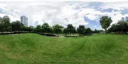 Cloudy hillside meadow