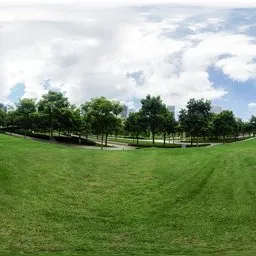 Cloudy hillside meadow