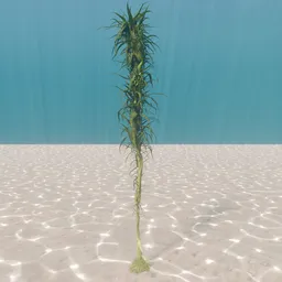 Alien Kelp - Animated