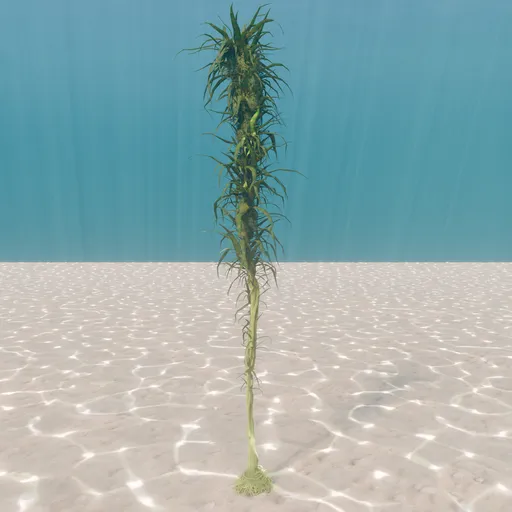Alien Kelp - Animated