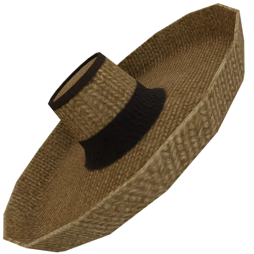Rustic Straw Sombrero
