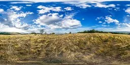 8K resolution scenic landscape with golden grass beneath a vibrant blue sky with fluffy clouds for realistic lighting in 3D scenes.